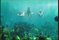 Mako Mermaids: Uma Aventura H2O - Mako Mermaids: Ilha dos Segredos [Filme  Dublado] Ver online e download:  PS.: A transmissão  foi cancelada pelo  por conta dos direitos autorais das músicas